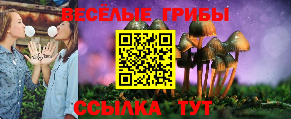 купить наркотики цена  Галлюциногенные грибы Psilocybine cubensis  Вход с VPN  Псилоцибиновые грибы Psilocybe  Борзя 
